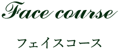 Face course／フェイスコース